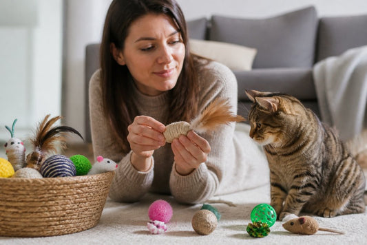 How to Choose Safe Cat Toys: A Complete Guide