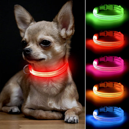 Light up Dog Collar for Small Dogs & Cats (Pink, XS)