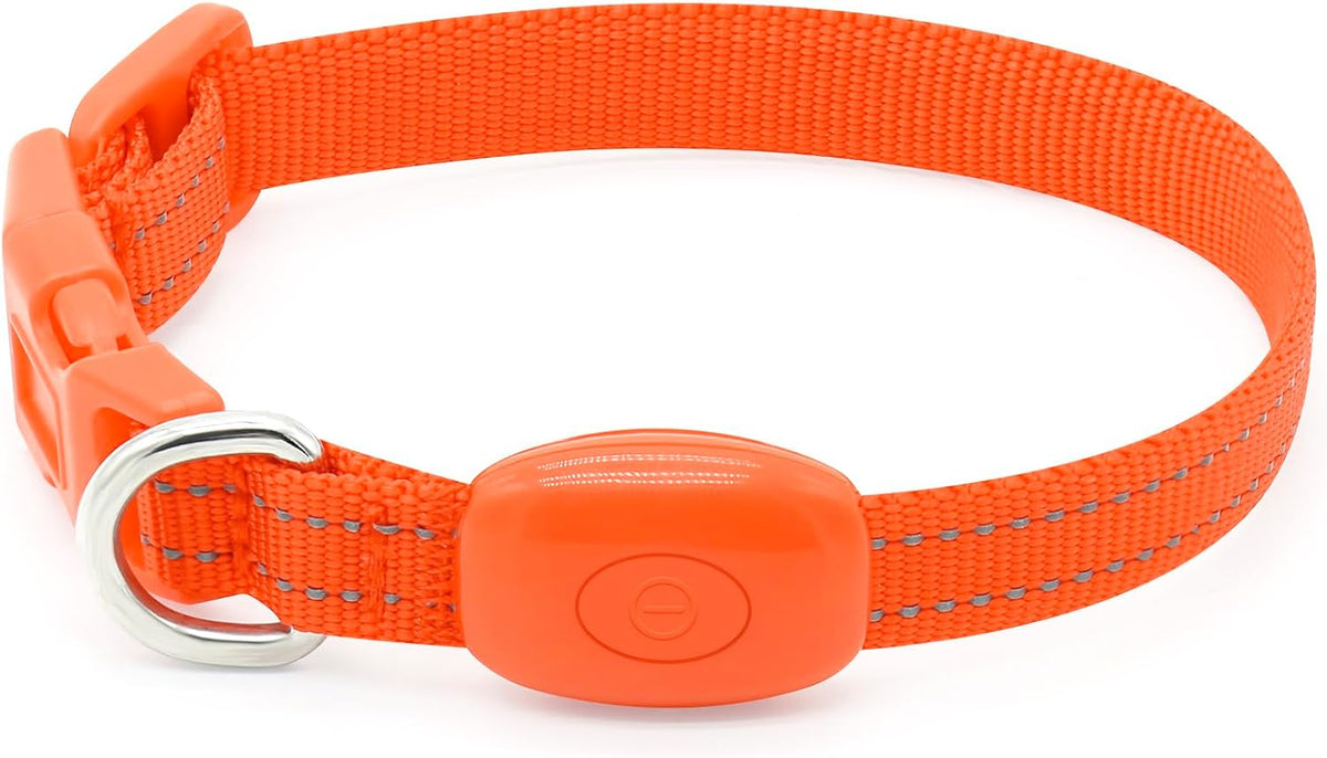 Light up Dog Collar for Small Dogs & Cats (Pink, XS)
