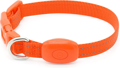 Light up Dog Collar for Small Dogs & Cats (Pink, XS)