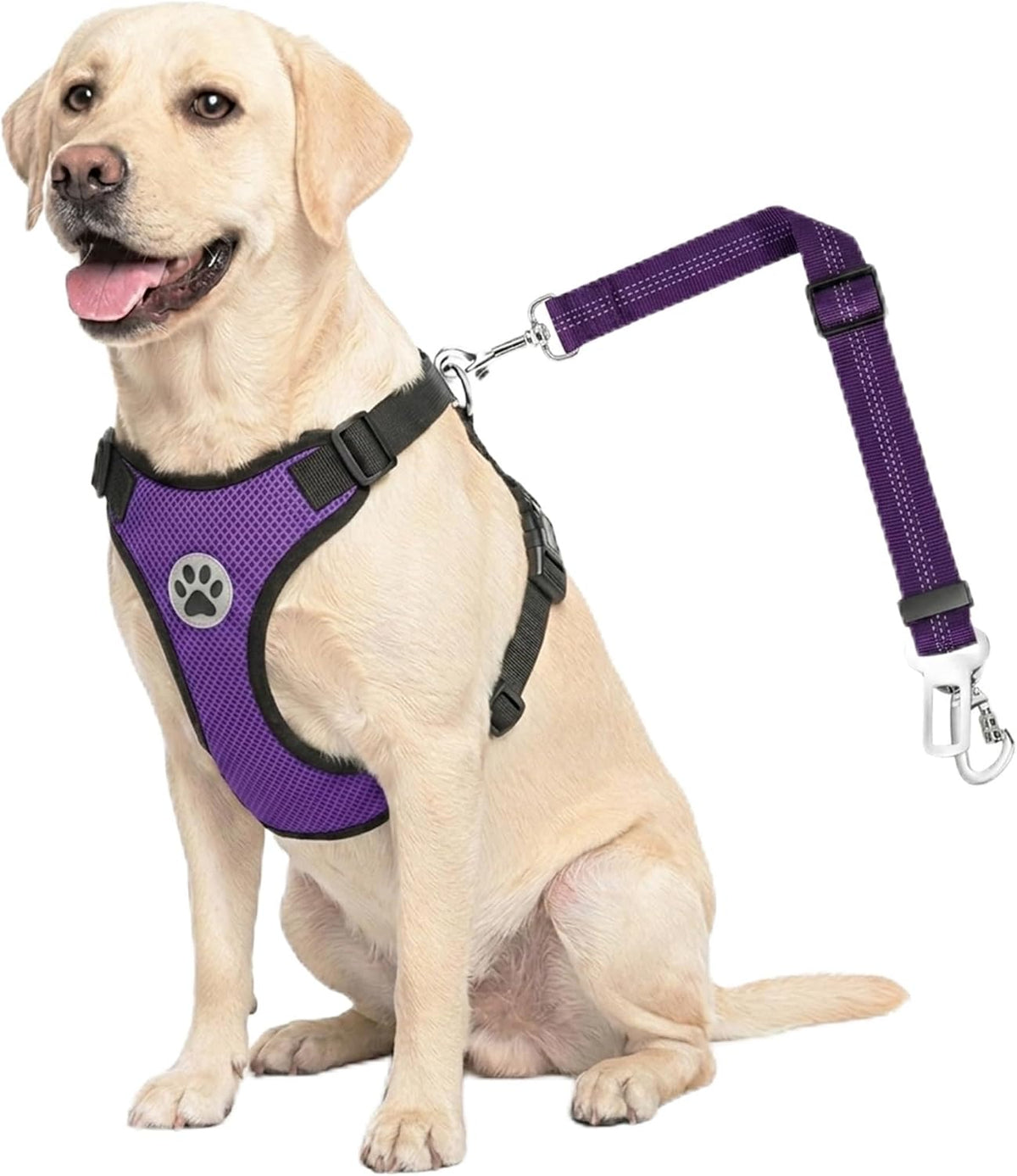 2-in-1 Dog Car Harness & Seat Belt - Ultimate Safety for Your Pet