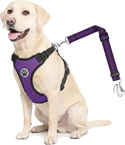 2-in-1 Dog Car Harness & Seat Belt - Ultimate Safety for Your Pet