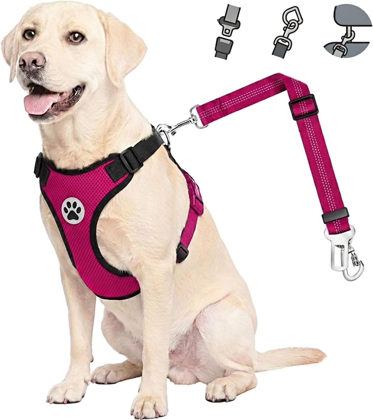 2-in-1 Dog Car Harness & Seat Belt - Ultimate Safety for Your Pet