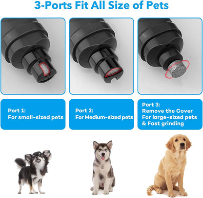 2-Speed Electric Dog Nail Grinder with 2 LED Lights - Professional Quiet & Painless Grooming for All Dog and Cat Sizes (Grey)