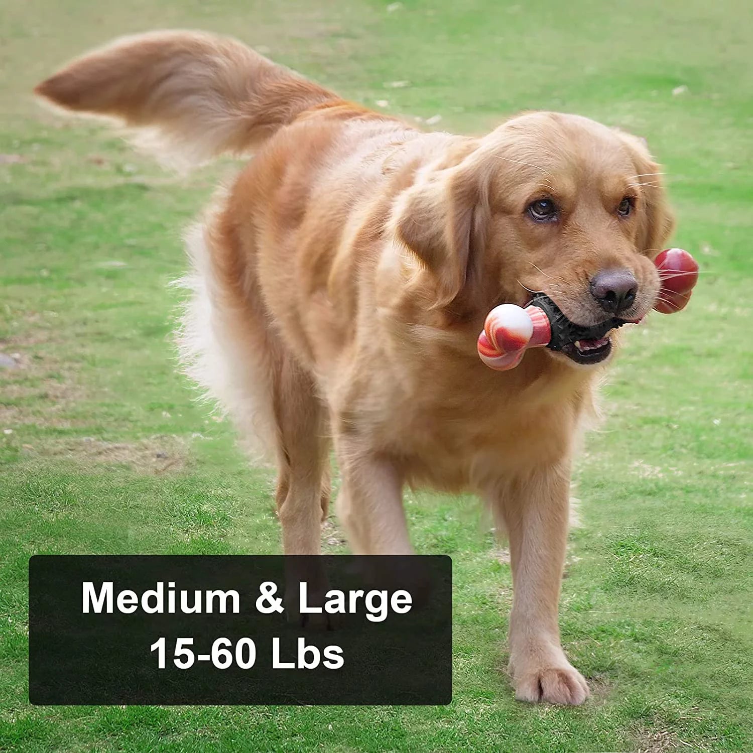 Dog Toys for Aggressive Chewers Dog Toy Interactive Dog Toys for Large Dog Chew Toys for Aggressive Chewers,Dinosam Indestructible Dog Toy for Medium Large Dogs